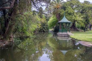 Bosques de palermo - nelson narvaez fotografia 1