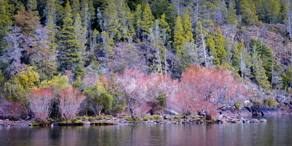 La playita Lago puelo en invierno