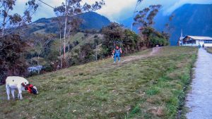 Tirolinas y otras actividades en La Casa del Árbol Baños
